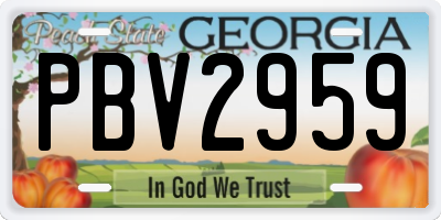 GA license plate PBV2959
