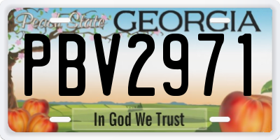 GA license plate PBV2971