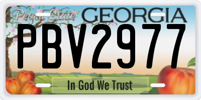 GA license plate PBV2977