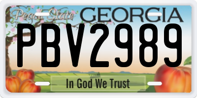 GA license plate PBV2989