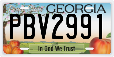 GA license plate PBV2991
