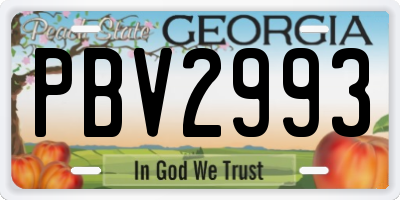 GA license plate PBV2993