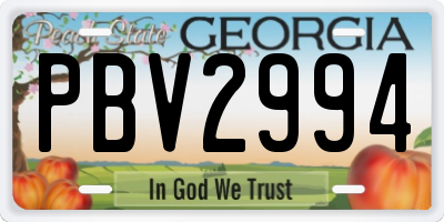 GA license plate PBV2994