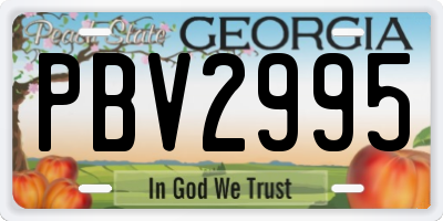 GA license plate PBV2995