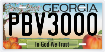 GA license plate PBV3000