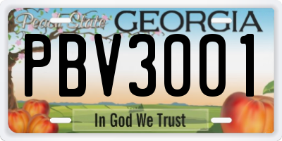 GA license plate PBV3001