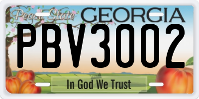 GA license plate PBV3002