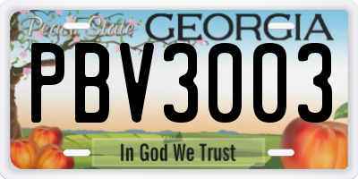 GA license plate PBV3003