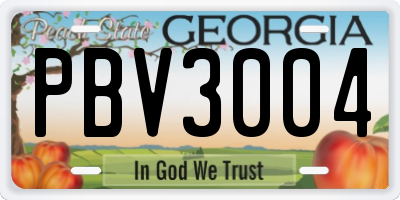 GA license plate PBV3004