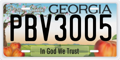 GA license plate PBV3005
