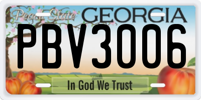 GA license plate PBV3006