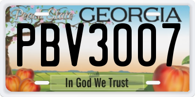 GA license plate PBV3007
