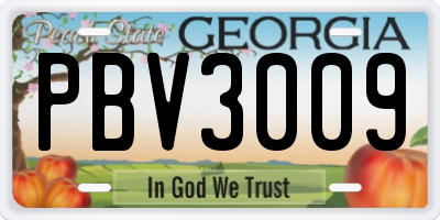 GA license plate PBV3009