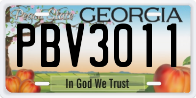 GA license plate PBV3011