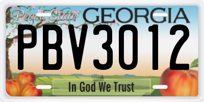 GA license plate PBV3012