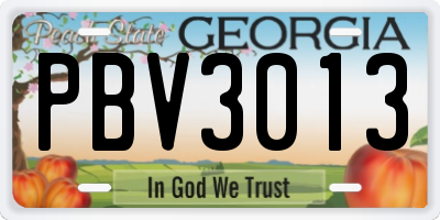 GA license plate PBV3013
