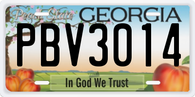 GA license plate PBV3014