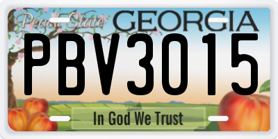 GA license plate PBV3015