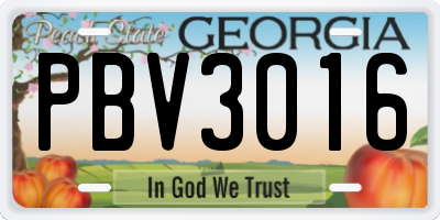 GA license plate PBV3016
