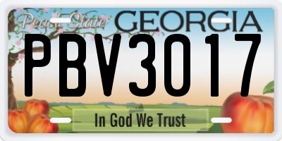 GA license plate PBV3017
