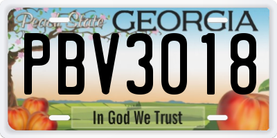 GA license plate PBV3018