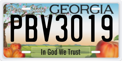 GA license plate PBV3019