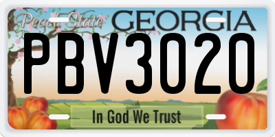 GA license plate PBV3020