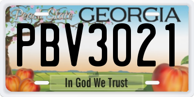 GA license plate PBV3021