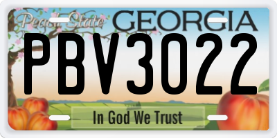 GA license plate PBV3022