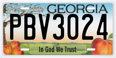 GA license plate PBV3024