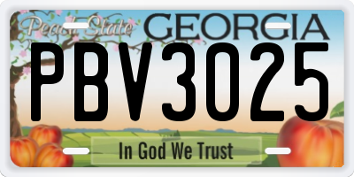 GA license plate PBV3025
