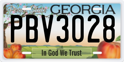 GA license plate PBV3028