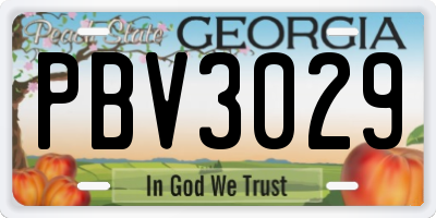 GA license plate PBV3029