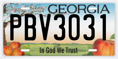 GA license plate PBV3031