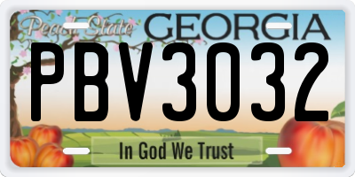 GA license plate PBV3032