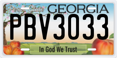 GA license plate PBV3033