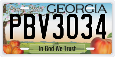 GA license plate PBV3034