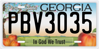 GA license plate PBV3035