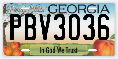 GA license plate PBV3036