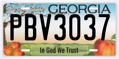GA license plate PBV3037
