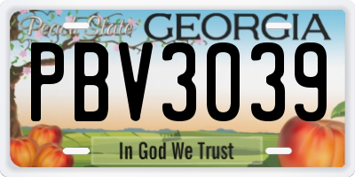 GA license plate PBV3039