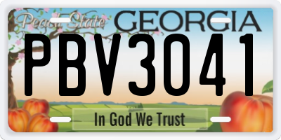 GA license plate PBV3041