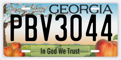GA license plate PBV3044