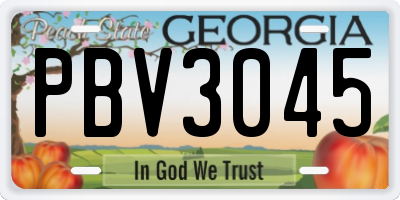 GA license plate PBV3045