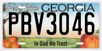 GA license plate PBV3046