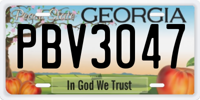 GA license plate PBV3047