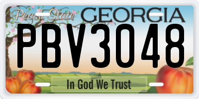 GA license plate PBV3048