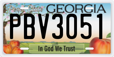 GA license plate PBV3051