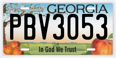GA license plate PBV3053
