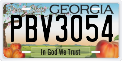 GA license plate PBV3054